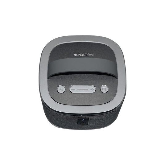 BTC-3100 | Portable 360° Omnidirectional Sound System