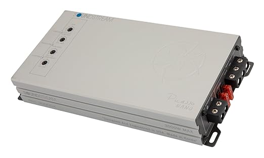 PN1-3000DX | Picasso Nano Series 3000W Monoblock 1 Channel Amplifier