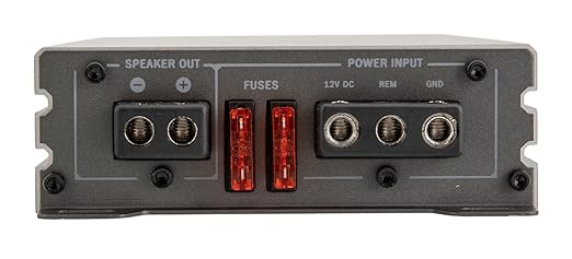 PN1-3000DX | Picasso Nano Series 3000W Monoblock 1 Channel Amplifier