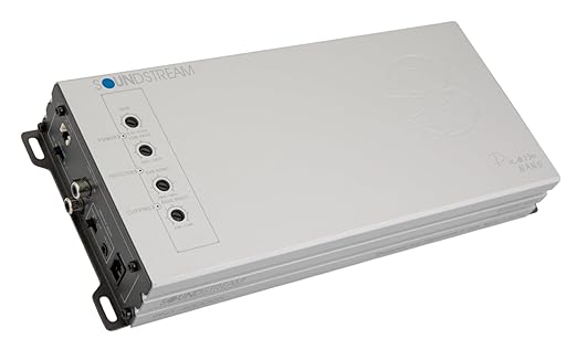 PN1-4000DX | Picasso Nano Series 4000W Monoblock 1 Channel Amplifier